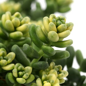 iAjZ_@^CgS@@3i1|bgj@֓