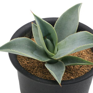 iAjAKx@sO}GA@hSgD[X@3i1j