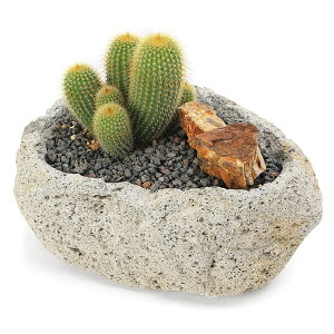 iϗtAjGIJN^X@Wہ@Q@nΔA@STCYi1jn⍻@؉΁@@v[g