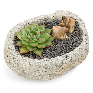 iϗtAji킨܂GPxA@nΐA@STCYi1jn⍻@؉΁@@v[g