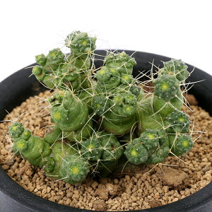 iAjT{e@}~A@GK[^Xg@3i1j