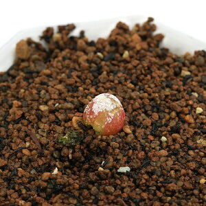 iAjRmtBc@uQ@SSTCY@@2i1j