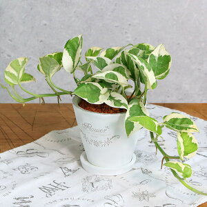 iϗtAj|gX@GWC@tOhEh|bgXSAi1jMt@Z~X@A@@@v[g