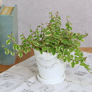 iϗtAjtBJX v~ Tj[zCg@tOhEh|bgXSAi1jMt@Z~X@A@@@v[g