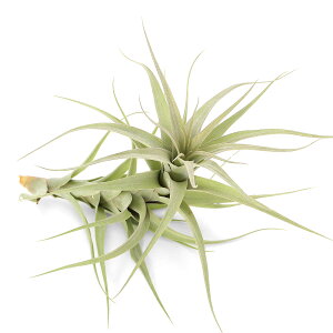 iϗtAjGA[vc@`WA@ii@}W[i1j