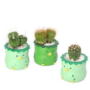 iϗtAj܂v`T{e@gAj}@Jbpi1j@ł܂鍻@A@@v[g