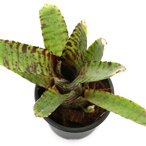 iϗtAjlIQA@XvO@Ws^[@2i1j