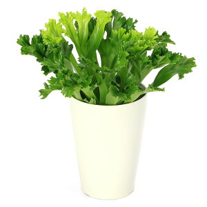 iϗtAjV_@AXvjE@Y[@4i1j