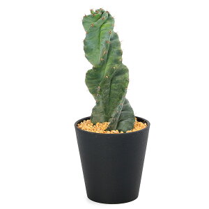 �i�����A���j��_���@�T�{�e���@�Z���E�X�@�y���r�A�i�X�@�X�s�����X�@4���i1���j�i353810�j