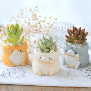 iAj܂v`@L@܂i1jł܂鍻