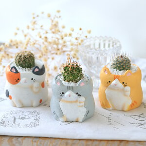 iAj܂v`T{e@L@܂i1jł܂鍻