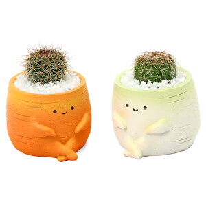 iAj܂v`T{e@؁@܂i1jł܂鍻