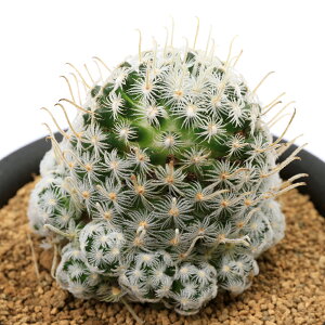 iAjT{e@}~A@fEFC@3i1j