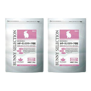 C[X^[@oj[ZNV@lU[hh[tp@1D3kg×2@@t[h@֓