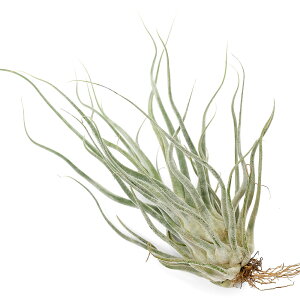 iϗtAjGA[vc@`WA@Tyi^Cj@G[VAi × u{[Ti1j