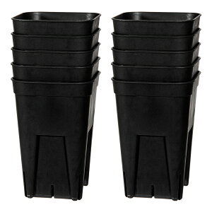 Xbg@vXe@75[^@@10Zbg@A@֓