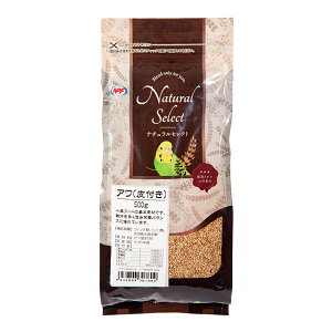 NPF�@�i�`�������Z���N�g�@�A���i��t���j�@500g�@�֓�������