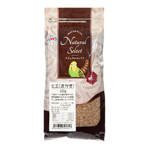 NPF�@�i�`�������Z���N�g�@�q�G�i��t���j�@400g�@�֓�������