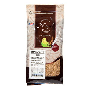 NPF�@�i�`�������Z���N�g�@�J�i���A�V�[�h�@400g�@�֓�������