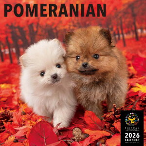 2026�N�@�Ǌ|���J�����_�[�@PICTWAN�@�|�����j�A���@�J�����_�[�@���@�֓�������