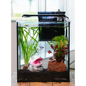 i߂jijȒP_J琅CAEgZbg@_J@~bNXt@25cm@E[p[[p[verD@{Bl