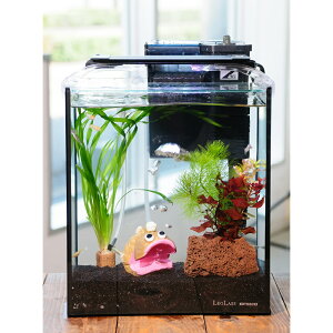 i߂jijȒP_J琅CAEgZbg@_J@~bNXt@25cm@AREverD@{Bl