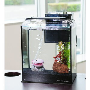 iMыjijȒPAJq琅CAEgZbg@AJq@STCYt@25cm@E[p[[p[verD@{Bl