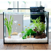 楽天市場】40cm 水槽セットの通販