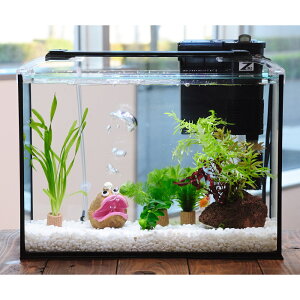 iYjijȒPs|p[琅CAEgZbg@40cm@AREverD@{Bl@֓