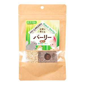 C[X^[@}CK[f@q͔|Zbg@o[[@唞@֓