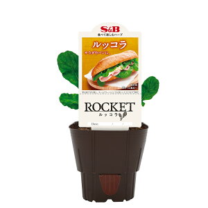 iϗtAjSB@n[uc@bR@3i1|bgj@ƒ؉