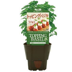 iϗtAjSB@n[uc@gbsOoW@3i1|bgj@ƒ؉