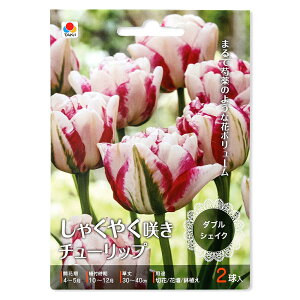 iϗtAj`[bv@Ⴍ₭炫`[bv@_uVFCN@2li1܁j