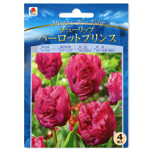 iϗtAj`[bv@F`[bv@p[bgvX@4li1܁j