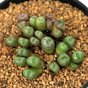 iAjRmtBc@~kXN@pEVlAc@2D5i1j