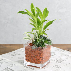 iϗtAjnChJ`[@~jϗt3̊񂹐A@ubNOXi1j@Z~X@A@@@v[g