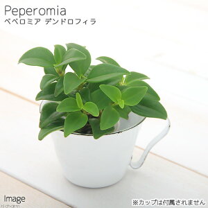 iϗtAj~jϗt@IAVXc@yy~A@fhtBi1cj