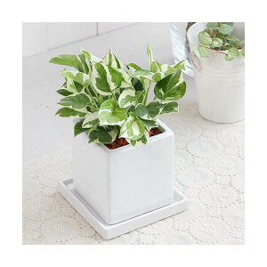 iϗtAj|gX@GWC@픫A@}bgzCgi1j@Mt@Z~X@A@@@v[g