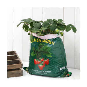 iϗtAjfe@Lb`K[f@ȒPC`S͔|ZbgiC`Sc@߂E}bIj@ƒ؉@ll2_