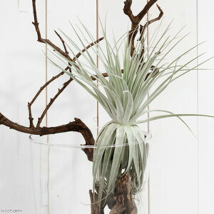 iϗtAjGA[vc@`WA@Khl[@XLTCYi1j