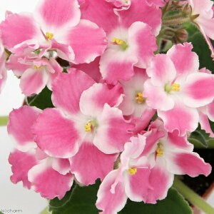 iϗtAjZg|[A@T@Iv`}@3D5i1j