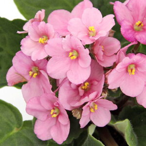 iϗtAjZg|[A@~i@Iv`}@3D5i1j