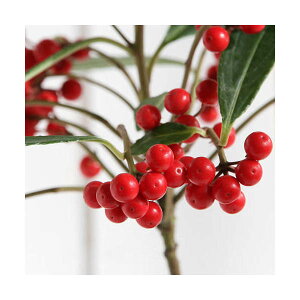 iR쑐j~́@S@J^`oiikjԎ@3D5i1|bgj