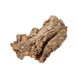 AEgbgi@VRo[WRNfBXvC@MTCYi20`35cmj@200g@󂠂@֓