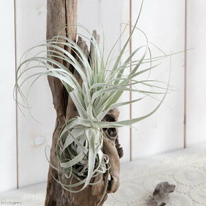 iϗtAjGA[vc@`WA@Khl[@LTCYi1j