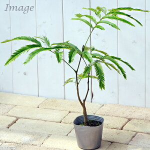 iϗtAjGo[tbV@3i1|bgj