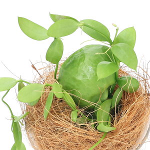 iϗtAjfBXLfBA@JK[|Pbg@tOhEh|bgXXSAi1j@Mt@RRV@A@@@v[g