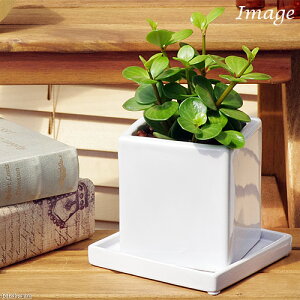 iϗtAjyy~A@z[v@픫A@}bgzCgi1j@Mt@Z~X@A@@@v[g