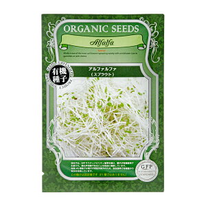 L@q@XvEg@At@t@i1܁j@ƒ؉