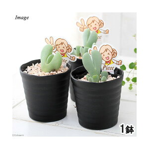 iAjZ@PChvVX@sV[is[Xj@2D5`3i1j